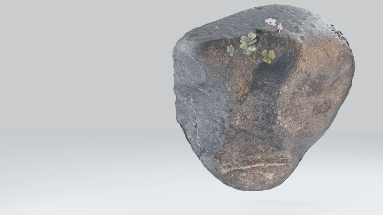 Weathered Antarctic meteorite GRO 17102,0 with a small sorrel plant
